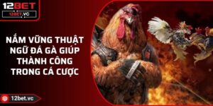 Nắm Vững Thuật Ngữ Đá Gà Giúp Thành Công Trong Cá Cược