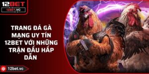 Trang Đá Gà Mạng Uy Tín 12BET Với Những Trận Đấu Hấp Dẫn 16 Trang Đá Gà Mạng Uy Tín 12BET Với Những Trận Đấu Hấp Dẫn